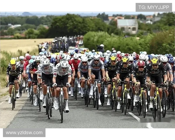 探秘自行车环法赛背后的速度传奇与人类意志极限之战